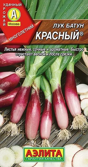 Лук батун Красный ®
