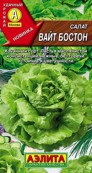 Салат Вайт бостон