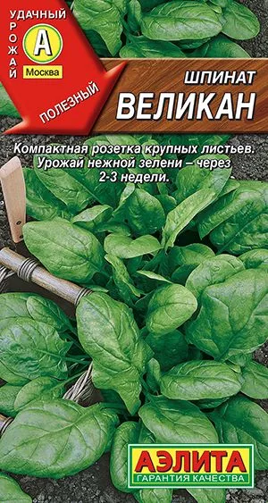 Салат Шпинат Великан