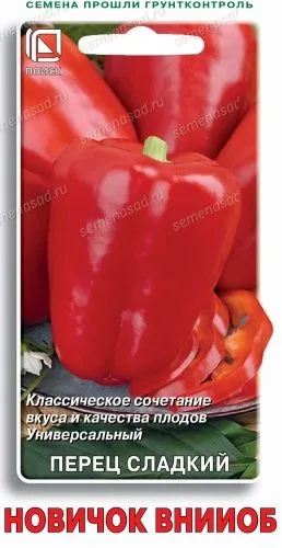 Перец сладкий Новичок ВНИИОБ