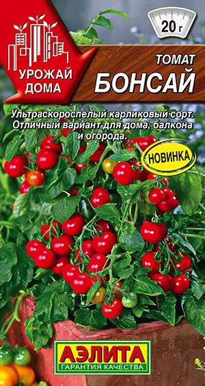 Томат Бонсай