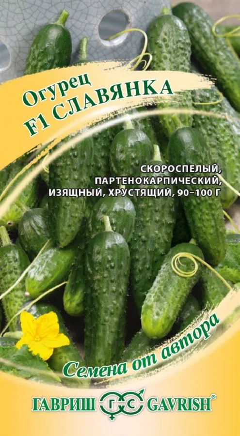 Огурец Славянка F1