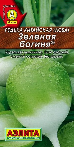 Редька китайская Зеленая богиня