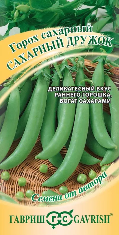 Фасоль Сахарный дружок