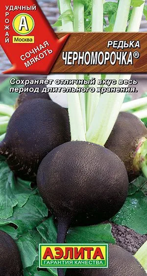 Редька Черноморочка