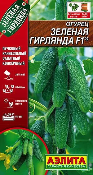 Семена: Огурец Зеленая гирлянда F1 ®