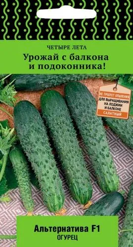 Семена: Огурец Альтернатива F1
