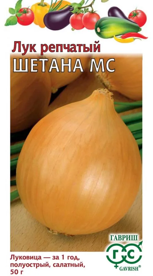 Лук репчатый Шетана МС