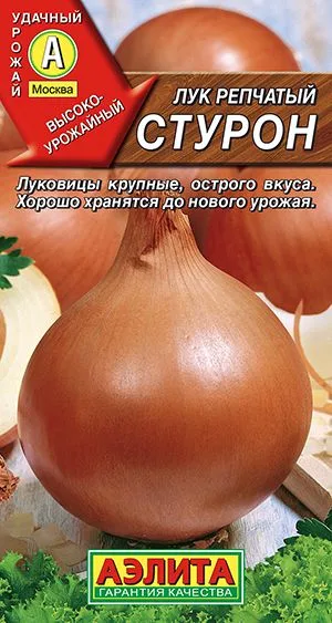 Лук репчатый Стурон