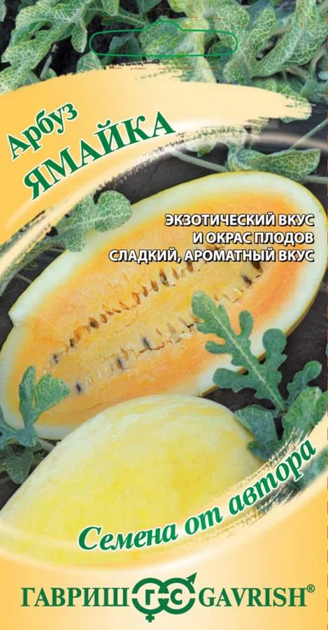 Арбуз Ямайка