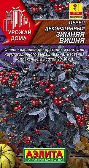 Перец декоративный Зимняя вишня