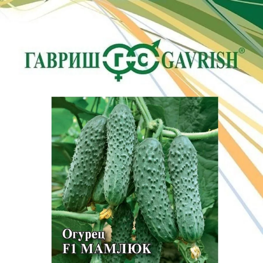 Огурец Мамлюк F1