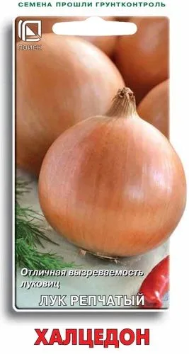 Лук репчатый Халцедон
