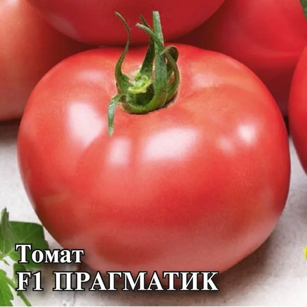 Семена: Томат Прагматик F1