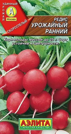 Редис Урожайный ранний