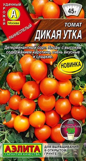 Томат Дикая утка