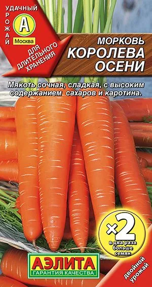 Морковь Королева осени