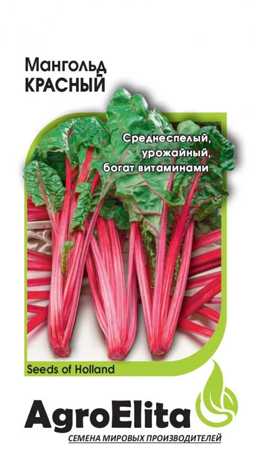 Салат Красный