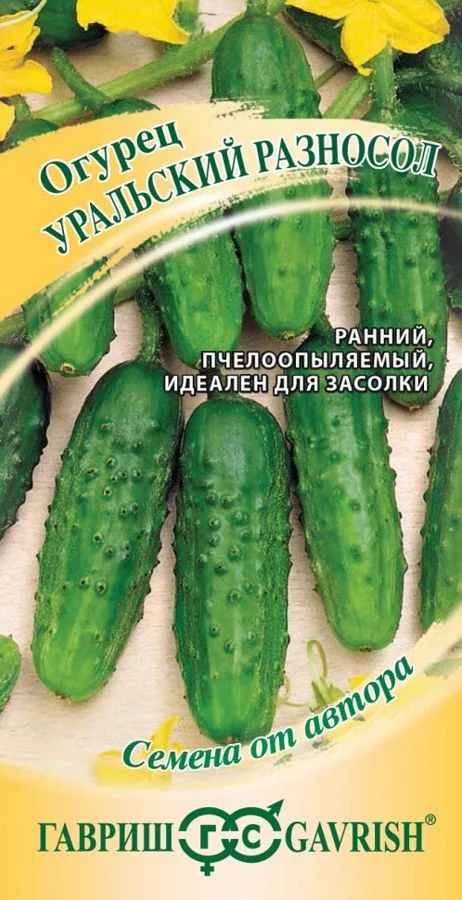 Огурец Уральский разносол