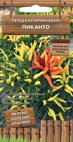 Перец кустарниковый Пиканто