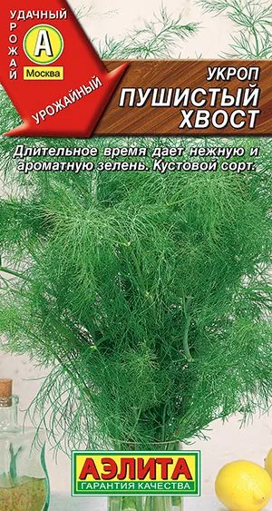 Укроп Пушистый хвост