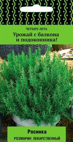 Пряные травы Розмарин лекарственный Росинка