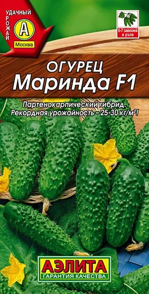 Семена: Огурец Маринда F1