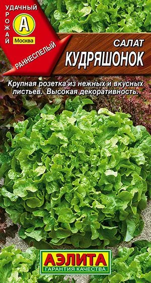 Салат Кудряшонок