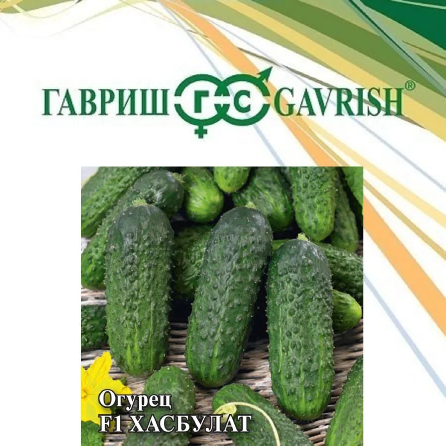Огурец Хасбулат F1