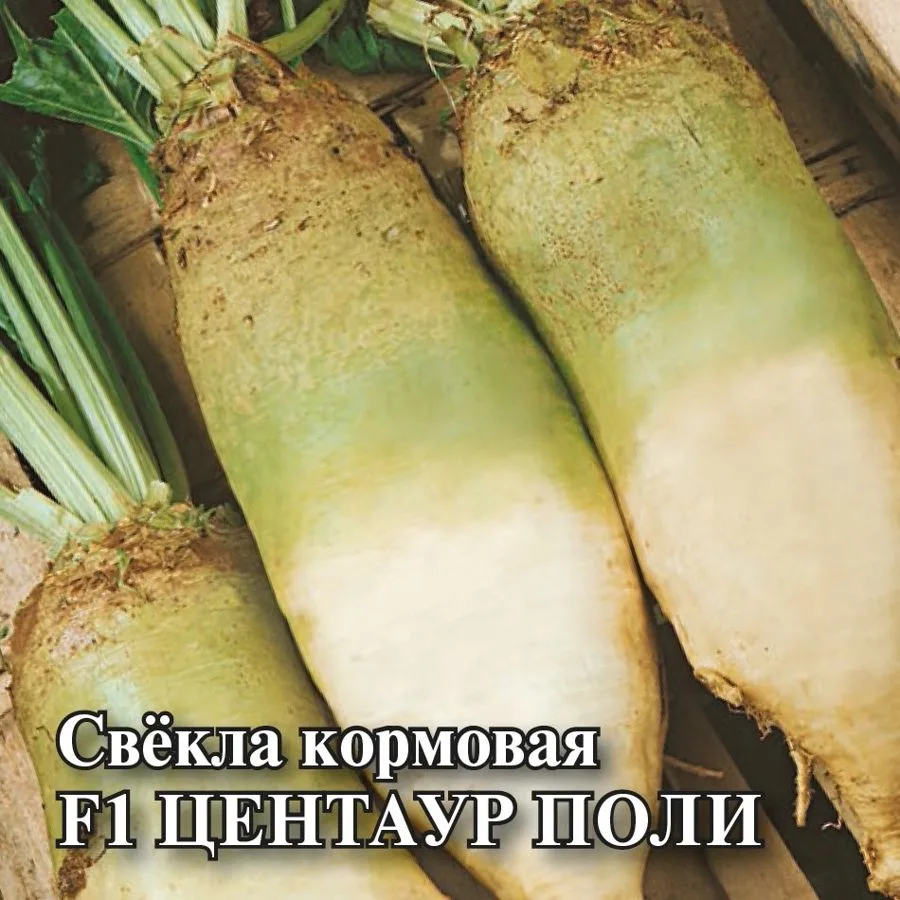 Свёкла Центаур Поли F1