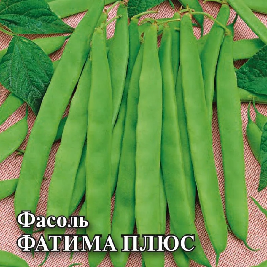 Фасоль спаржевая Фатима плюс