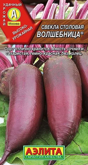 Свёкла Свекла столовая Волшебница