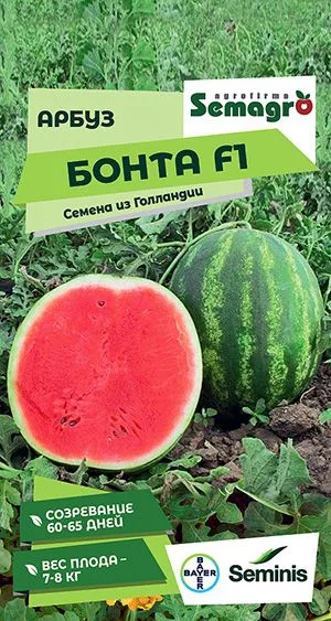 Арбуз Бонта F1