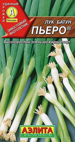 Лук батун Пьеро ®
