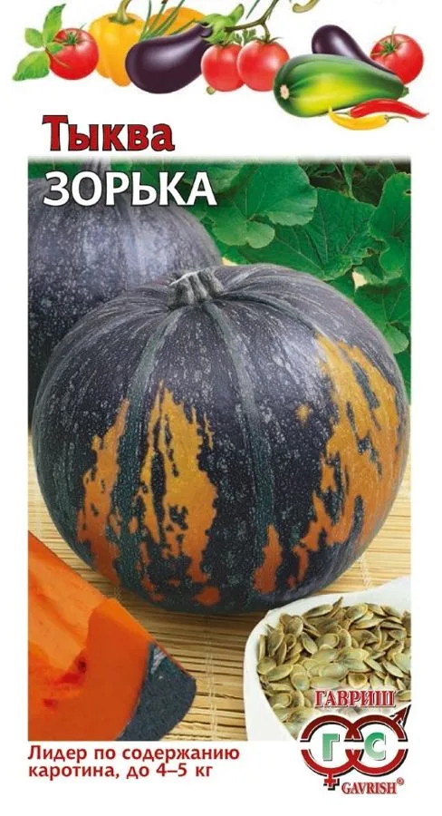 Семена: Тыква Зорька