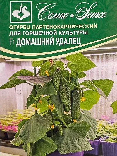 Огурец Домашний Удалец F1
