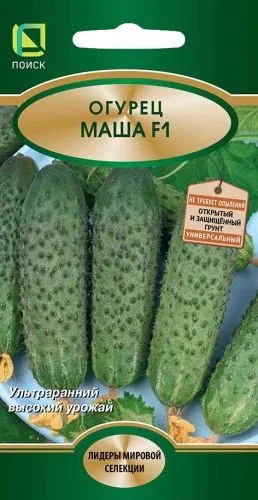 Огурец Маша F1