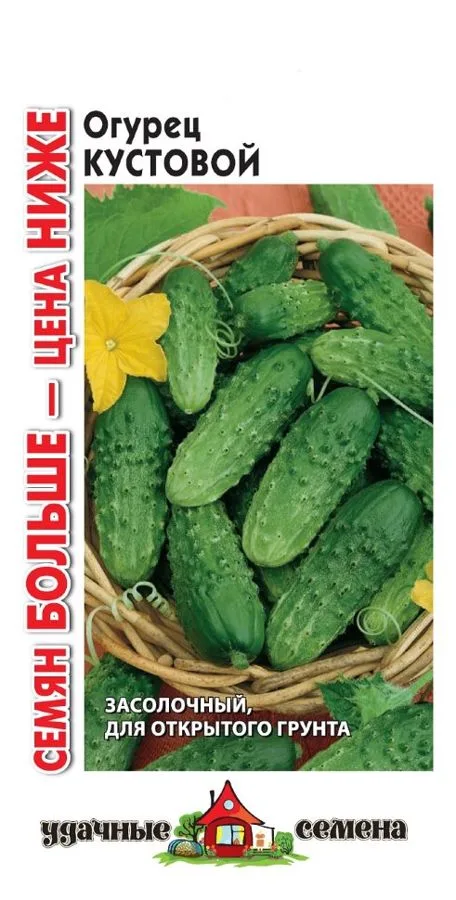 Огурец Кустовой