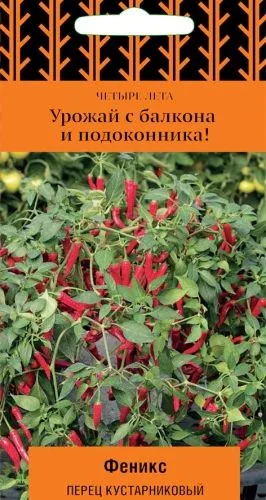 Перец кустарниковый Феникс