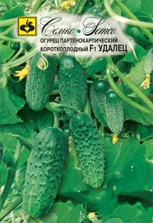 Огурец Удалец F1