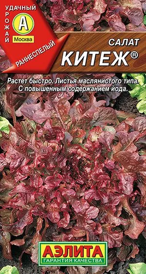 Салат Китеж листовой