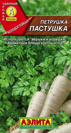 Петрушка корневая Пастушка