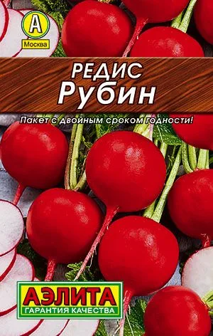 Редис Рубин