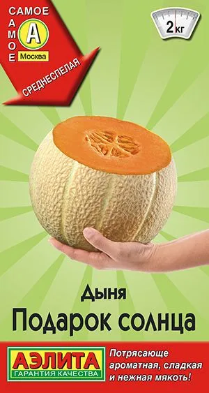 Дыня Подарок солнца