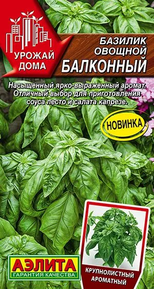 Базилик овощной Балконный