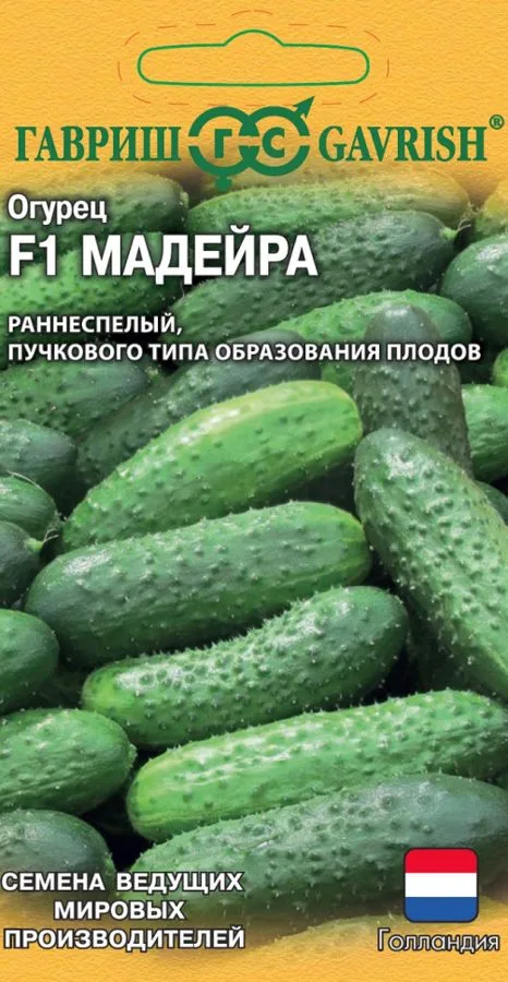 Семена: Огурец Мадейра F1