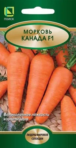 Морковь Канада F1