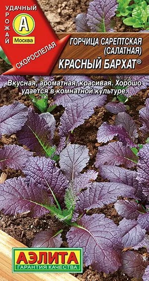 Пряные травы Горчица салатная Красный бархат ®
