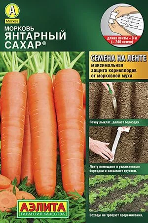 Морковь Янтарный сахар