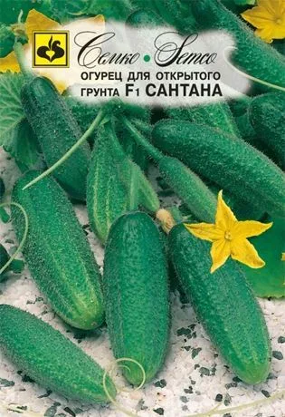 Семена: Огурец Сантана F1